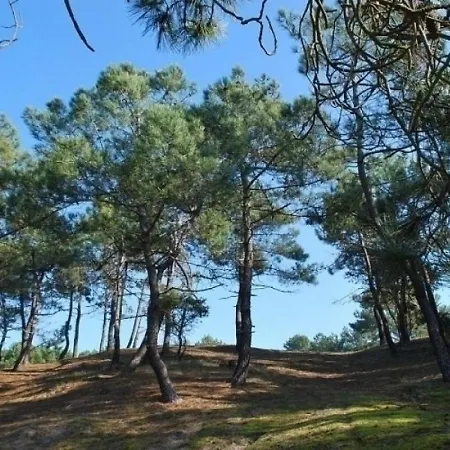 Feriehus House Les Sables D Or 1 La Guérinière